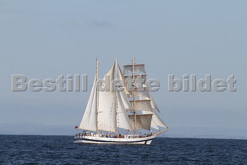 TSR2011_2 865.JPG